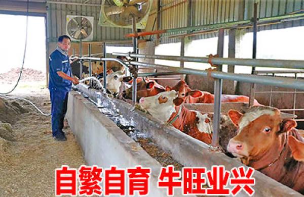 |凯发体育在线7月11日晚报
